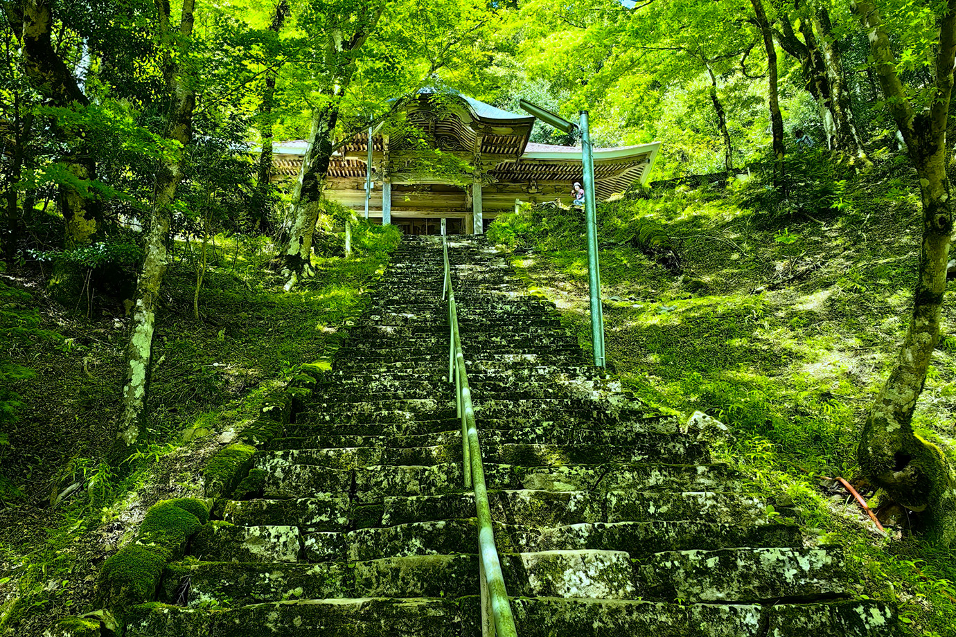 京都-舞鶴金剛院